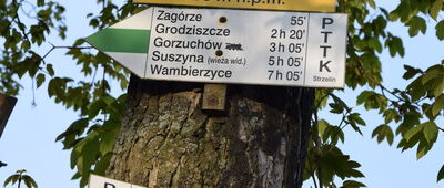 Ścinawka Średnia, stacja kolejowa
