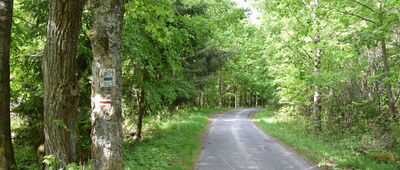 Rozwidlenie pod Golcem ↔ Studzienno