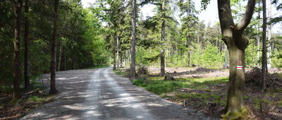 Studzienno ↔ Studzienno, granica parku narodowego