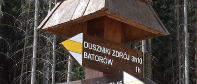 Skalne Grzyby, Dwa Borowiki