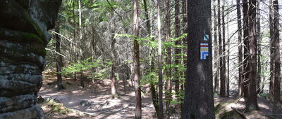 Skalne Grzyby, skrzyżowanie szlaków niebieski, żółty