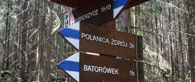 Skalne Grzyby, skrzyżowanie szlaków niebieski, żółty