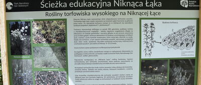 Niknąca Łąka