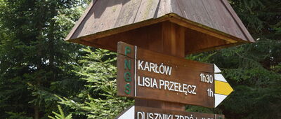 Pod Zbójem, skrzyżowanie szlaków niebieski / żółty