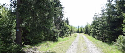 Pod Zbójem, skrzyżowanie szlaków niebieski / zielony ↔ Pod Zbójem, skrzyżowanie szlaków niebieski / żółty