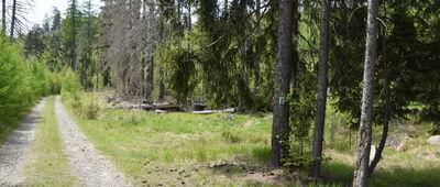 Pod Zbójem, skrzyżowanie szlaków niebieski / zielony