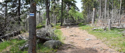 Odejście do Skalnej Czaszki ↔ Skały Puchacza
