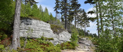 Rozdroże pod Ptakiem ↔ Odejście do Fortu Karola