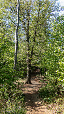Bezimienna przełęcz między Grodziskiem a Jelenią Kopą