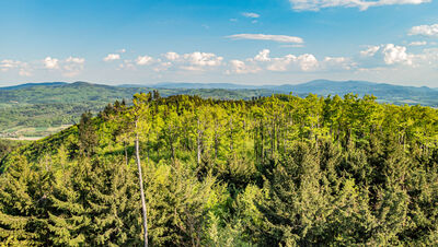Widok z piętra wieży widokowej na Kłodzkiej Górze