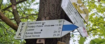 Przełęcz Lewińska