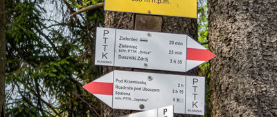 Pod Hutniczą Kopą [Pod Hutniczą Kopą]