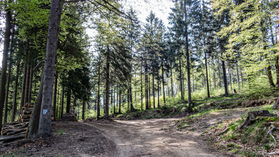 Niebieski szlak do Masyrykovej Chaty