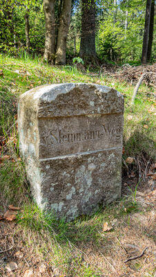 Steinmann Weg - niemiecki znacznik szlaku
