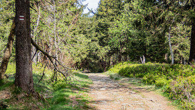 Czerwony szlak na Orlicę