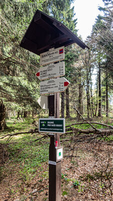 Rezerwat przyrody Bukačka 992 m n.p.m.