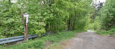 Przełęcz w Grodźcu