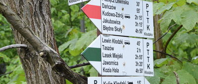 Przełęcz w Grodźcu