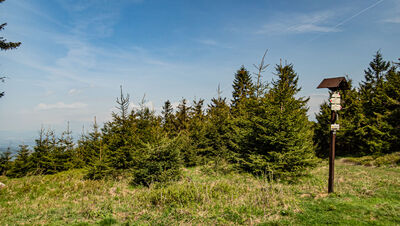 Polomský kopec 1051 m n.p.m.