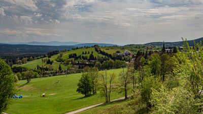 Widok z czerwono-zielonego szlaku przez Zieleniec