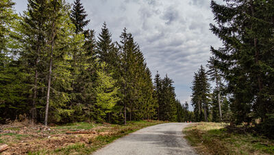 Niebieski szlak na Jagodną