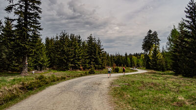 Niebieski szlak na Jagodną