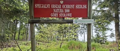 Przełęcz w Grodźcu