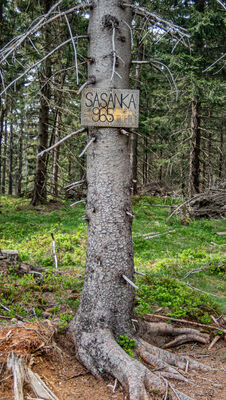Sasanka 965 m n.p.m.