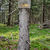 Sasanka 965 m n.p.m.