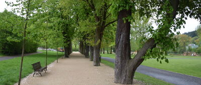 Duszniki-Zdrój ↔ Duszniki-Zdrój, Park Zdrojowy