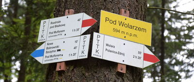 Pod Wolarzem
