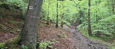 Schronisko Pod Muflonem, skrzyżowanie szlaków ↔ Rozdroże pod Błażkową