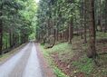 Schronisko Pod Muflonem, skrzyżowanie szlaków ↔ Pod Wolarzem