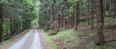 Schronisko Pod Muflonem, skrzyżowanie szlaków ↔ Pod Wolarzem
