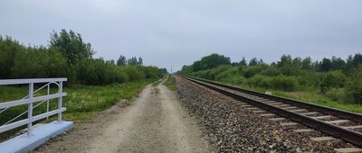 Parczew, ul. Przemysłowa [Szlak wiedzie wzdłuż torów]