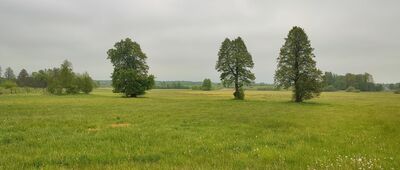 Laski, stacja kolejowa ↔ Parczew, ul. Przemysłowa ["Łąki Nadatki"]
