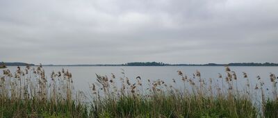 Siemień ↔ Laski, stacja kolejowa [Staw Siemień. Zbudowany przez jeńców tatarskich w XVI wieku]