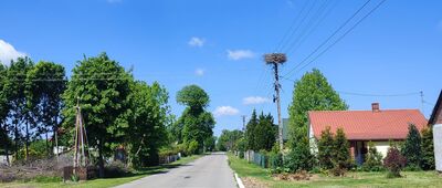 Działyń [Działyń]