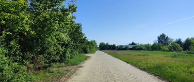 Firlej ↔ Przypisówka