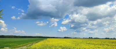 Leszkowice ↔ Brzeźnica Leśna