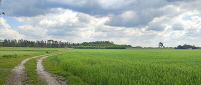 Brzeźnica Leśna ↔ Juliopol