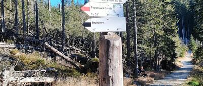 Sucha Woda ↔ Psia Trawka