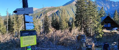 Murowaniec, odejście szlaku czarnego