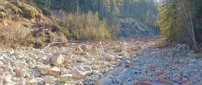 Brzeziny ↔ Sucha Woda