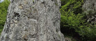 Dolina Będkowska, Sokolica ↔ Dolina Będkowska, skrzyżowanie szlaków