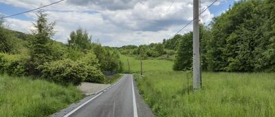 Dolina Będkowska, skrzyżowanie szlaków ↔ Jerzmanowice, odejście szlaku zielonego