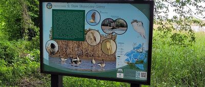 Stawno ↔ Nowe Grodzisko, rzeka Barycz