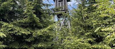 Pod Turzyną ↔ Przełęcz pod Turzyną [May 24, 2025 - Gavroche]