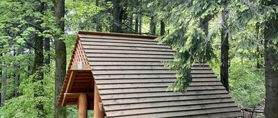 Przełęcz pod Turzyną [May 24, 2025 - Gavroche]