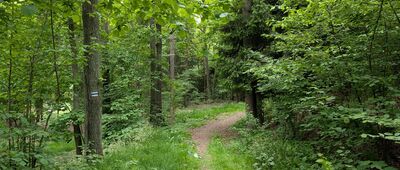 Dworek ↔ Lwówek Śląski, ul. Złotoryjska